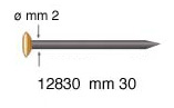 Hardened steel nails, brass head, 30 mm - Pack 100